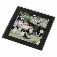 Cats and Kittens in Garden Black Rim High Quality Glass Coaster