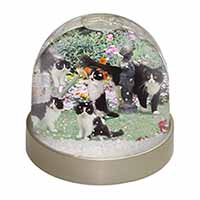 Cats and Kittens in Garden Snow Globe Photo Waterball