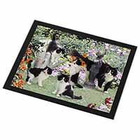 Cats and Kittens in Garden Black Rim High Quality Glass Placemat