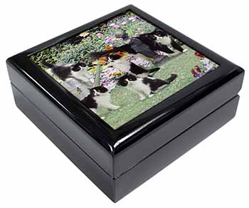 Cats and Kittens in Garden Keepsake/Jewellery Box