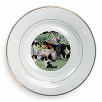 Cats and Kittens in Garden Gold Rim Plate Printed Full Colour in Gift Box