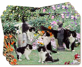 Cats and Kittens in Garden Picture Placemats in Gift Box