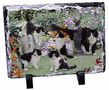 Cats and Kittens in Garden, Stunning Photo Slate