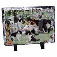 Cats and Kittens in Garden, Stunning Photo Slate