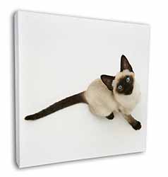 Siamese Cat Square Canvas 12"x12" Wall Art Picture Print