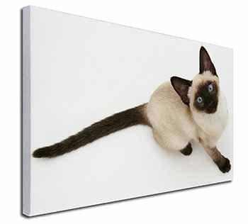 Siamese Cat Canvas X-Large 30"x20" Wall Art Print
