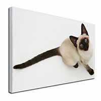 Siamese Cat Canvas X-Large 30"x20" Wall Art Print