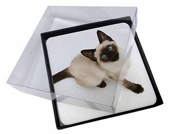 4x Siamese Cat Picture Table Coasters Set in Gift Box