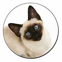 Siamese Cat Fridge Magnet Printed Full Colour