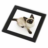 Siamese Cat Black Rim High Quality Glass Coaster