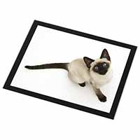 Siamese Cat Black Rim High Quality Glass Placemat