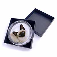 Siamese Cat Glass Paperweight in Gift Box