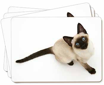 Siamese Cat Picture Placemats in Gift Box