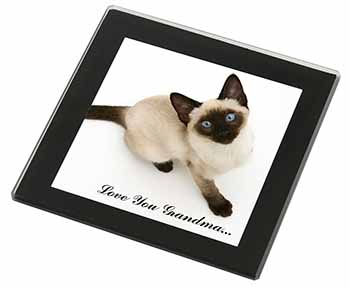 Siamese Cat 