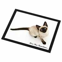 Siamese Cat 