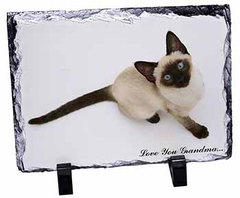 Siamese Cat 