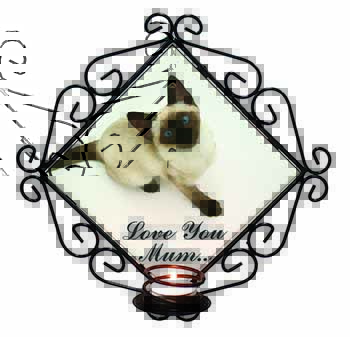 Siamese Cat 