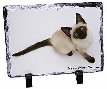 Siamese Cat 