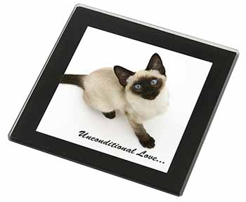 Siamese Cat 