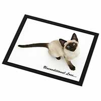 Siamese Cat 