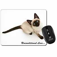 Siamese Cat 