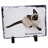 Siamese Cat 