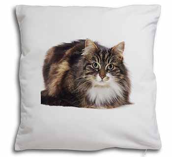 Beautiful Brown Tabby Cat Soft White Velvet Feel Scatter Cushion