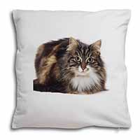 Beautiful Brown Tabby Cat Soft White Velvet Feel Scatter Cushion