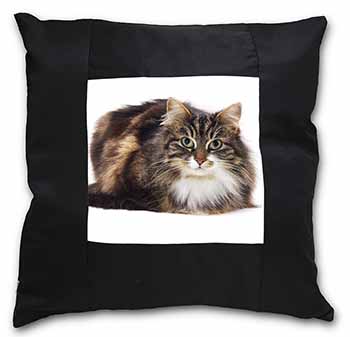 Beautiful Brown Tabby Cat Black Satin Feel Scatter Cushion