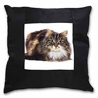 Beautiful Brown Tabby Cat Black Satin Feel Scatter Cushion