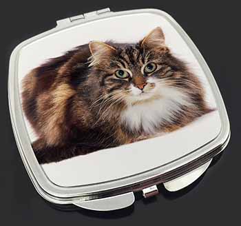 Beautiful Brown Tabby Cat Make-Up Compact Mirror