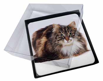 4x Beautiful Brown Tabby Cat Picture Table Coasters Set in Gift Box