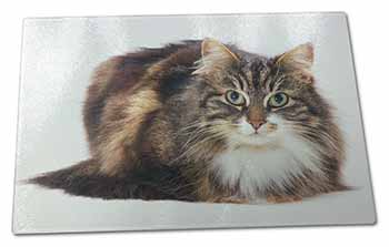 Large Glass Cutting Chopping Board Beautiful Brown Tabby Cat