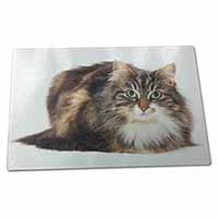 Large Glass Cutting Chopping Board Beautiful Brown Tabby Cat