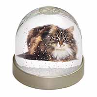 Beautiful Brown Tabby Cat Snow Globe Photo Waterball