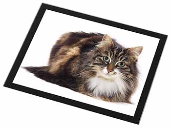Beautiful Brown Tabby Cat Black Rim High Quality Glass Placemat