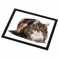 Beautiful Brown Tabby Cat Black Rim High Quality Glass Placemat