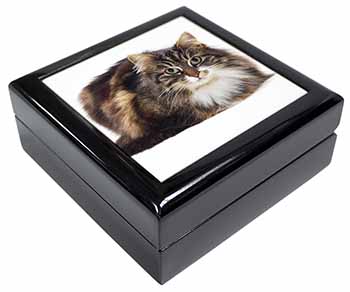 Beautiful Brown Tabby Cat Keepsake/Jewellery Box