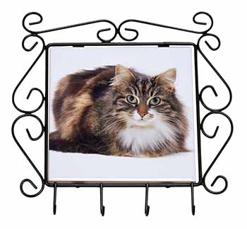 Beautiful Brown Tabby Cat Wrought Iron Key Holder Hooks