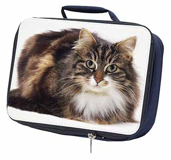 Beautiful Brown Tabby Cat Navy Insulated School Lunch Box/Picnic Bag