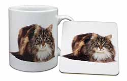 Beautiful Brown Tabby Cat Mug and Coaster Set