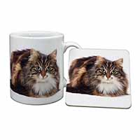 Beautiful Brown Tabby Cat Mug and Coaster Set