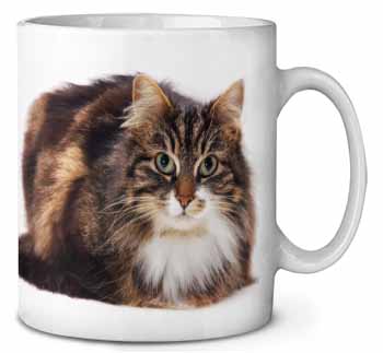 Beautiful Brown Tabby Cat Ceramic 10oz Coffee Mug/Tea Cup