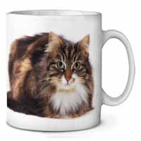 Beautiful Brown Tabby Cat Ceramic 10oz Coffee Mug/Tea Cup