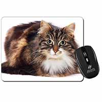 Beautiful Brown Tabby Cat Computer Mouse Mat