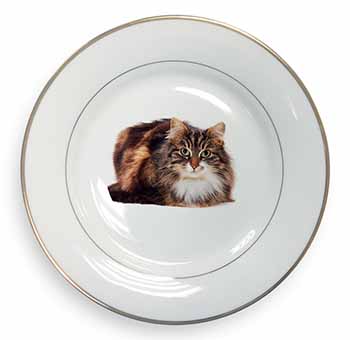 Beautiful Brown Tabby Cat Gold Rim Plate Printed Full Colour in Gift Box