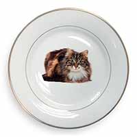 Beautiful Brown Tabby Cat Gold Rim Plate Printed Full Colour in Gift Box