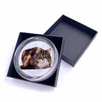 Beautiful Brown Tabby Cat Glass Paperweight in Gift Box