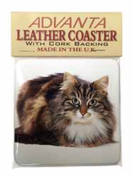 Beautiful Brown Tabby Cat Single Leather Photo Coaster