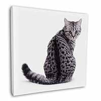 Silver Spot Tabby Cat Square Canvas 12"x12" Wall Art Picture Print